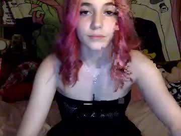 girl
        egirlhaile cam image #230904